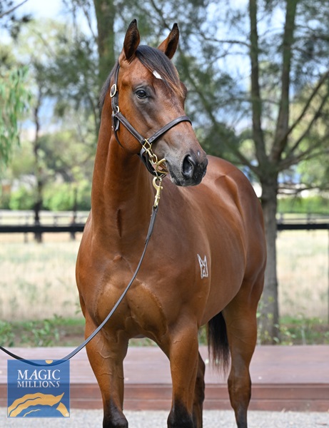 LOT 574 In The Congo x Modern Millie__DSC5905.jpg - Image 2