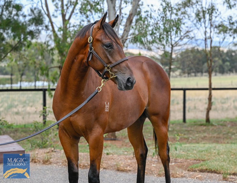 LOT 606 Artorius x Newsreader__DSC5496.jpg - Image 2