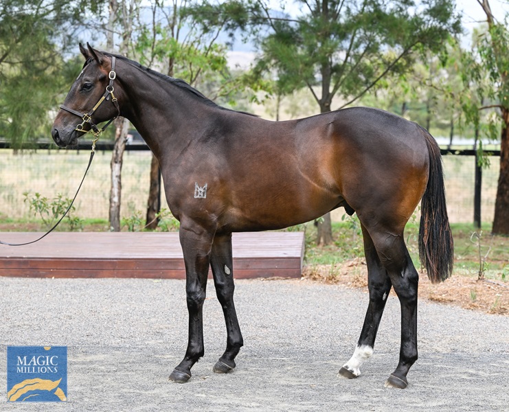 LOT 624 Capitalist x Nothin Leica Storm__DSC5554.jpg - Image 1