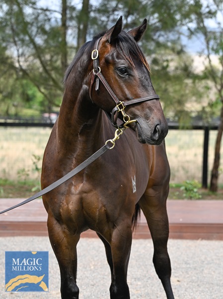 LOT 624 Capitalist x Nothin Leica Storm__DSC5612.jpg - Image 2