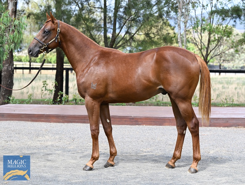 LOT 674 Russian Revolution x Piacenza__DSC6206.jpg - Image 1