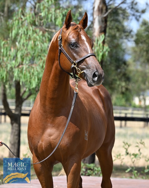 LOT 674 Russian Revolution x Piacenza__DSC6260.jpg - Image 2