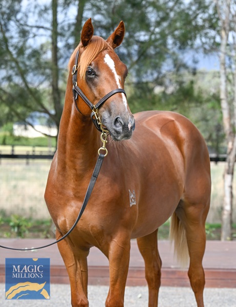 LOT 903 Stay Inside x The Amazonian__DSC5670.jpg - Image 2