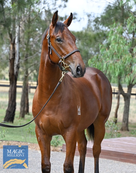 LOT 436 Artorius x Lady Banff__DSC5845.jpg - Image 2