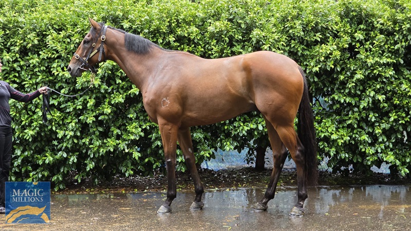 WhatsApp Image 2025-12-16 at 05.22.25.jpg - Image 1