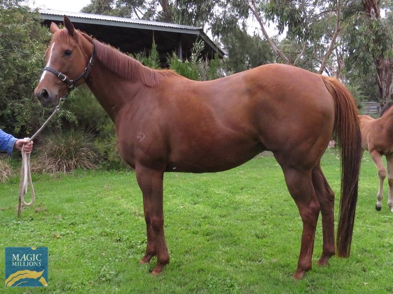 TT Side.jpg - Image 1