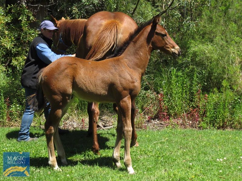 TT 25 Side b.jpg - Image 2