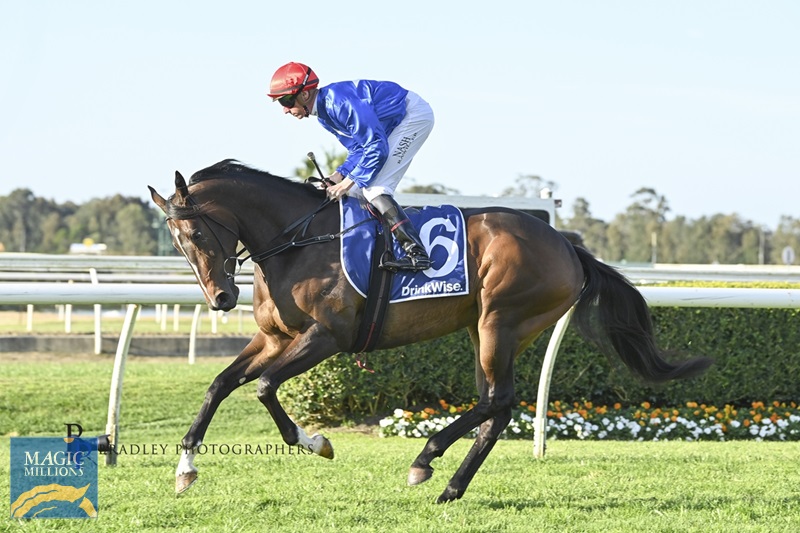 Gold Pattern 2.jpg - Image 1