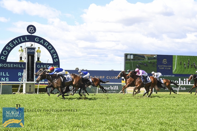 Gold Pattern Rosehill.jpg - Image 2