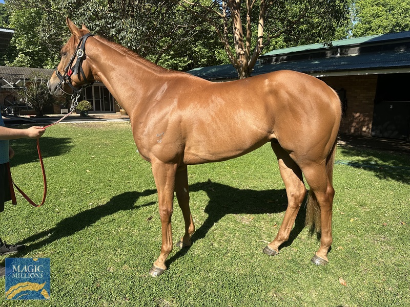 Telling 1.jpg - Image 1