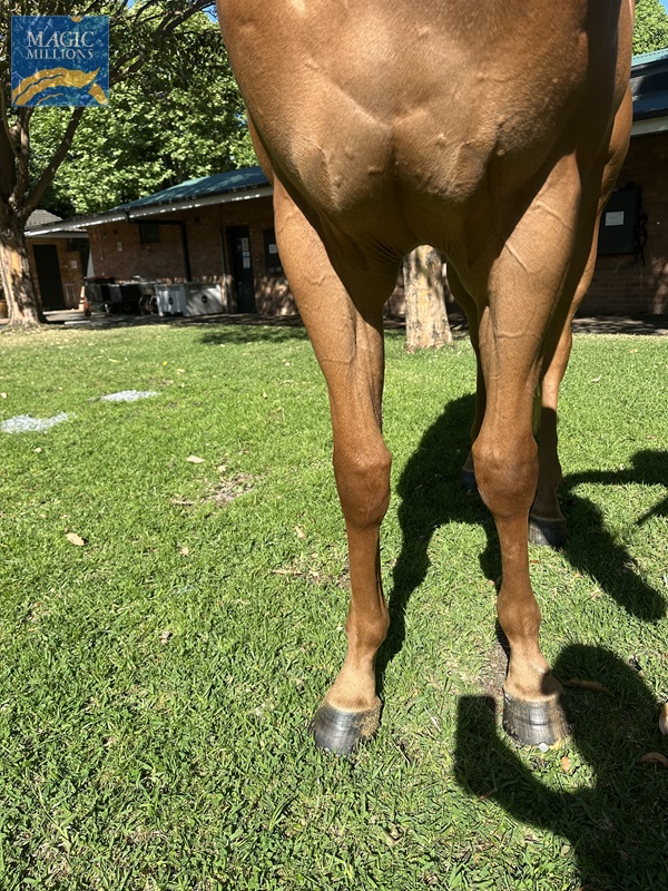 Telling 2.jpg - Image 2