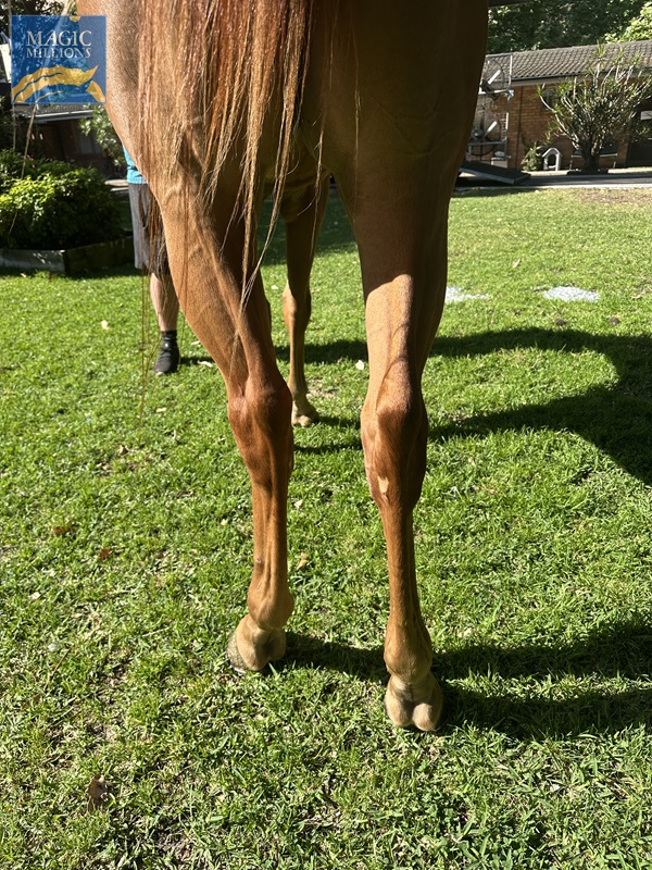 Telling 3.jpg - Image 3