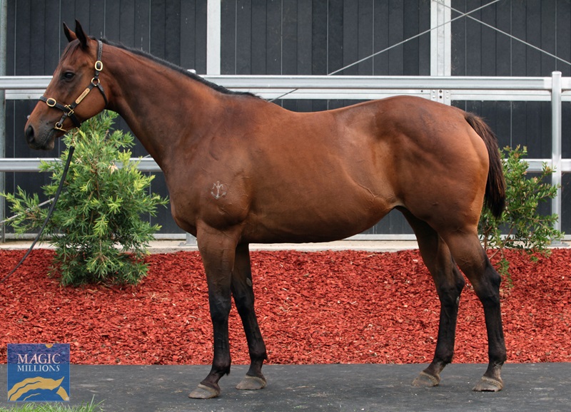 Helford river.jpg - Image 1