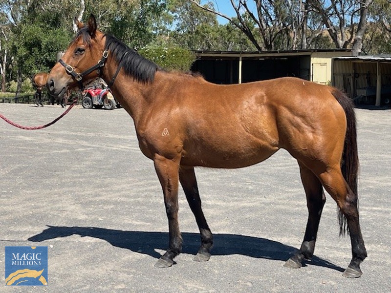 Cartier Island.jpg - Image 1