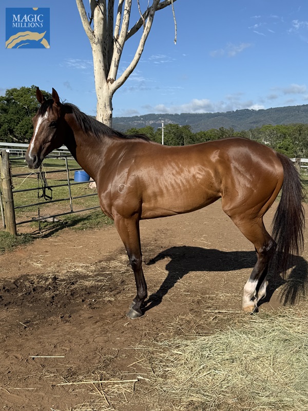 IMG_1544.jpg - Image 1