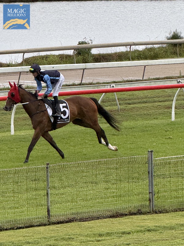 IMG_1177.jpg - Image 3