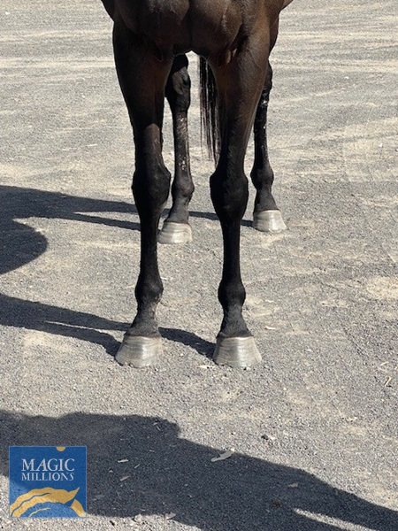 Whyemca 1.jpg - Image 1