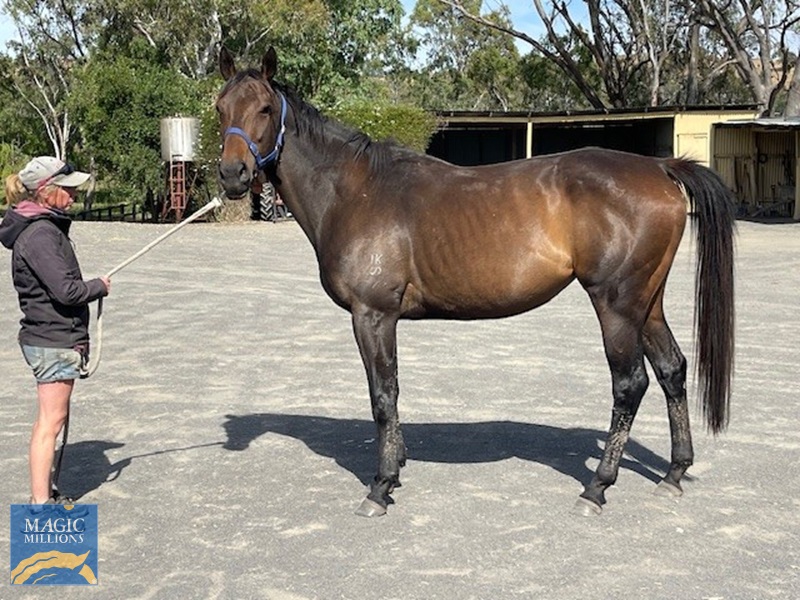 Whyemca.jpg - Image 2