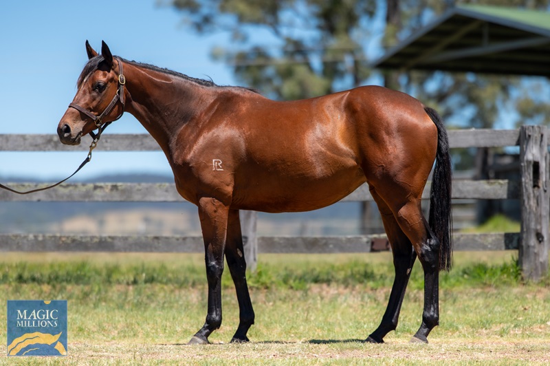 Fancido-2891.jpg - Image 1