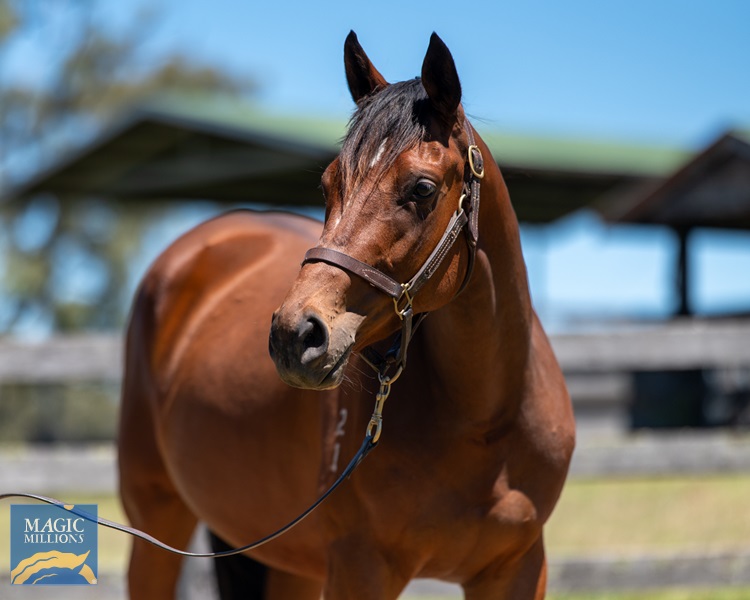 Fancido-2949.jpg - Image 2