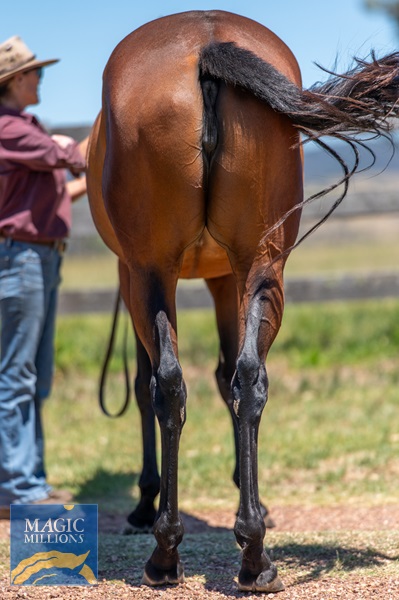 Fancido-2961 (1).jpg - Image 4