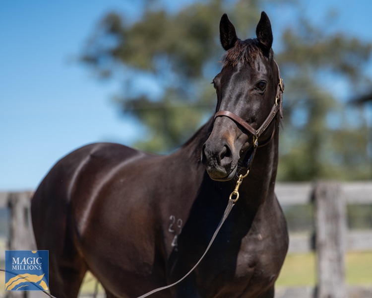 Ivy Blue-2709.jpg - Image 1