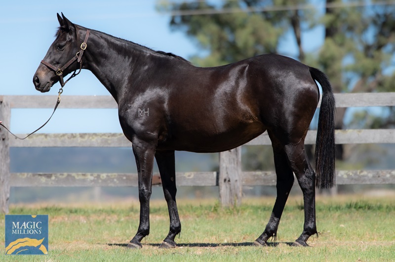 Ivy Blue-2661.jpg - Image 2