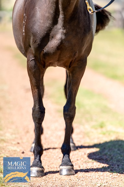 Ivy Blue-2725.jpg - Image 3