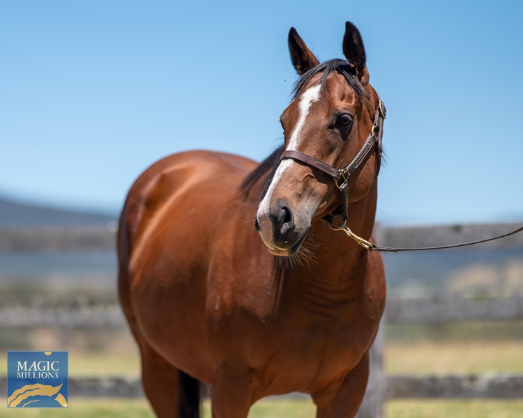 Lady Lay-2993.jpg - Image 1