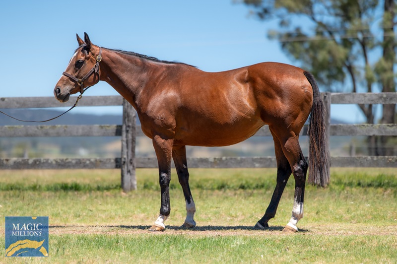 Lady Lay-3028.jpg - Image 2