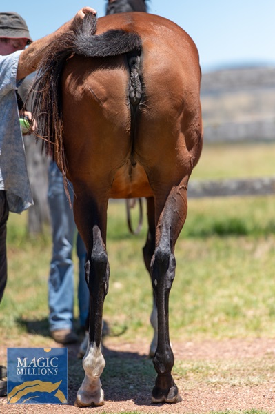 Lady Lay-3007.jpg - Image 4