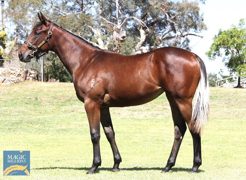 Cool Snitzel 24 (1).jpg - Image 1