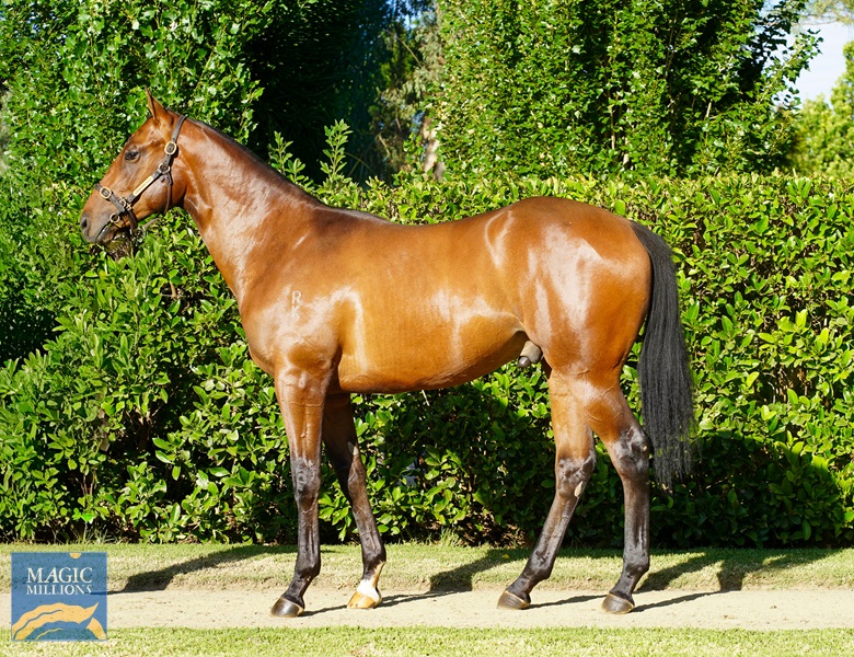 DSC00166 Audio .jpg - Image 1