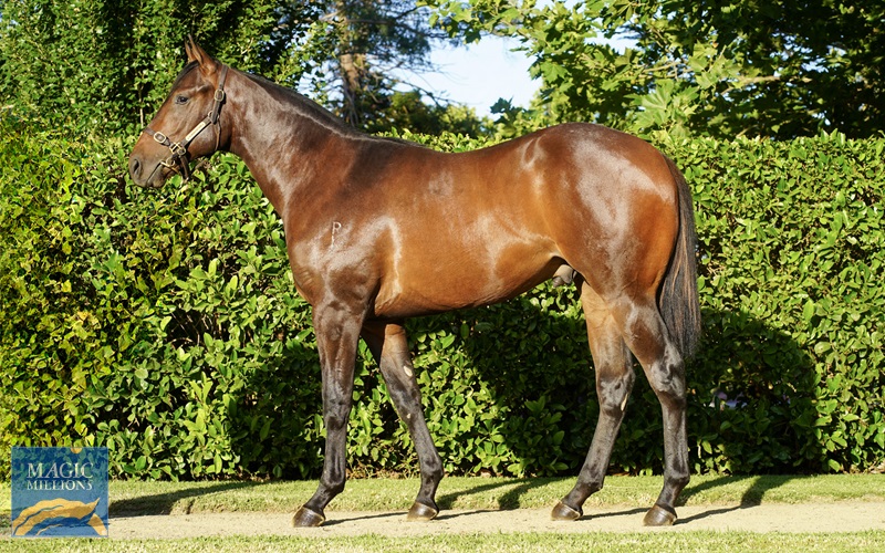 DSC00123 (2) (1).jpg - Image 1