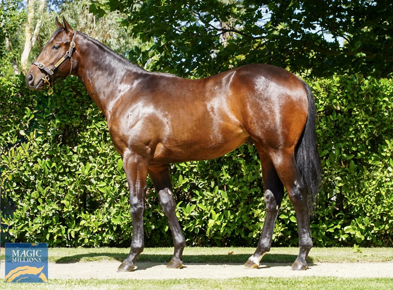 File 18-12-2025, 12 06 30 pm (2).jpg - Image 1