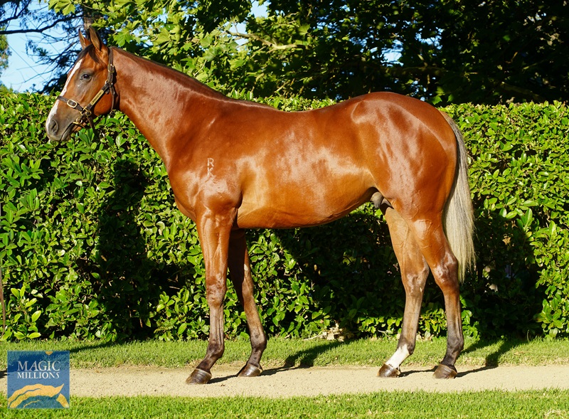 Infra Dig.jpg - Image 1