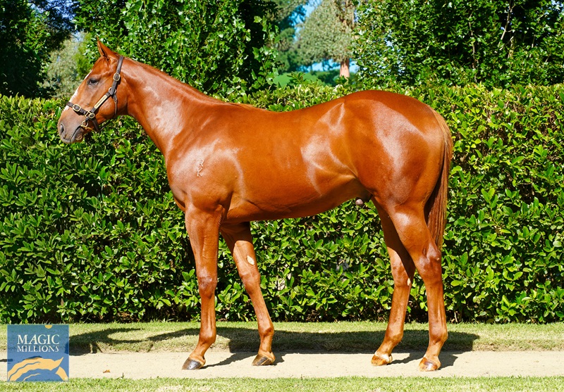 DSC00336 Paris.jpg - Image 1