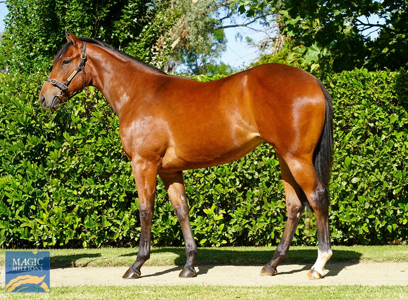 DSC00288 Medic.jpg - Image 1