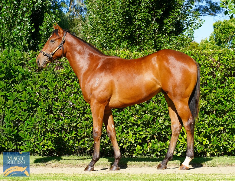 DSC00612.jpg - Image 1