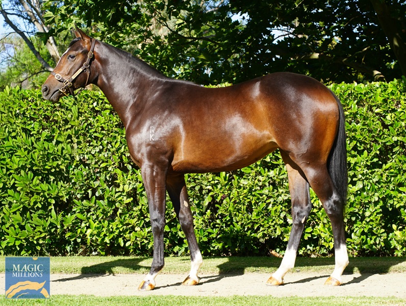 File 18-12-2025, 11 44 10 am I Get It.jpg - Image 1