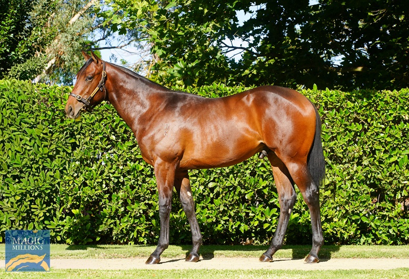 DSC00207 Moshki .jpg - Image 1