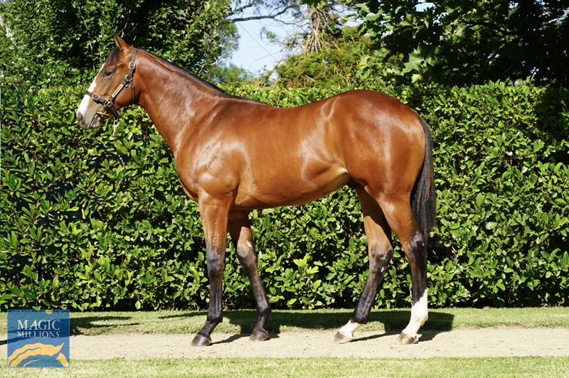 File 18-12-2025, 11 40 32 am Sugarparma (2) (1).jpg - Image 1