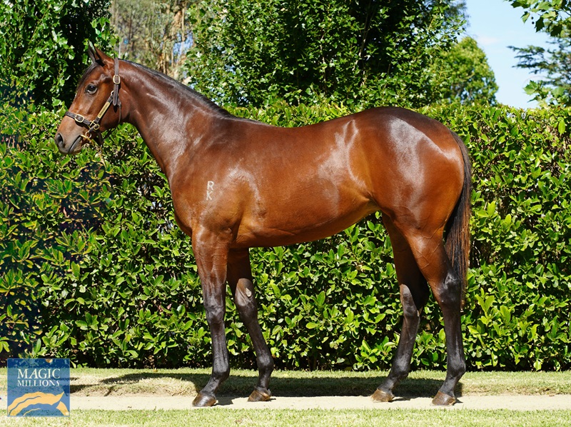 DSC00370 (1) (1).jpg - Image 1