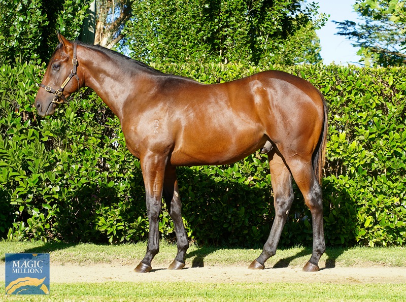 DSC00671.jpg - Image 1