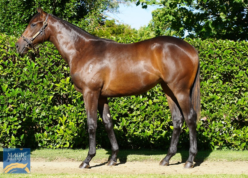 DSC00690.jpg - Image 1