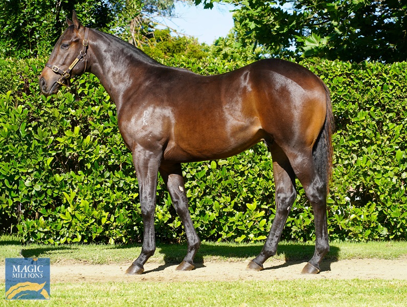 DSC00714.jpg - Image 1