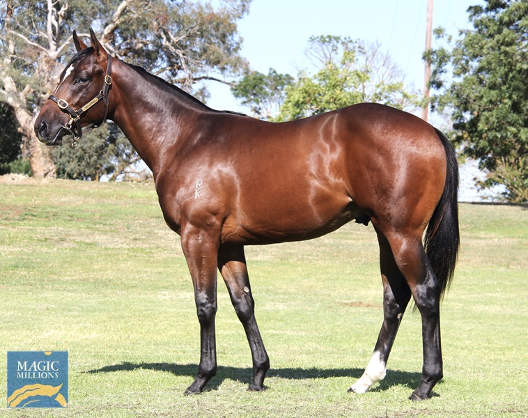 Birdy 24 (1).jpg - Image 1