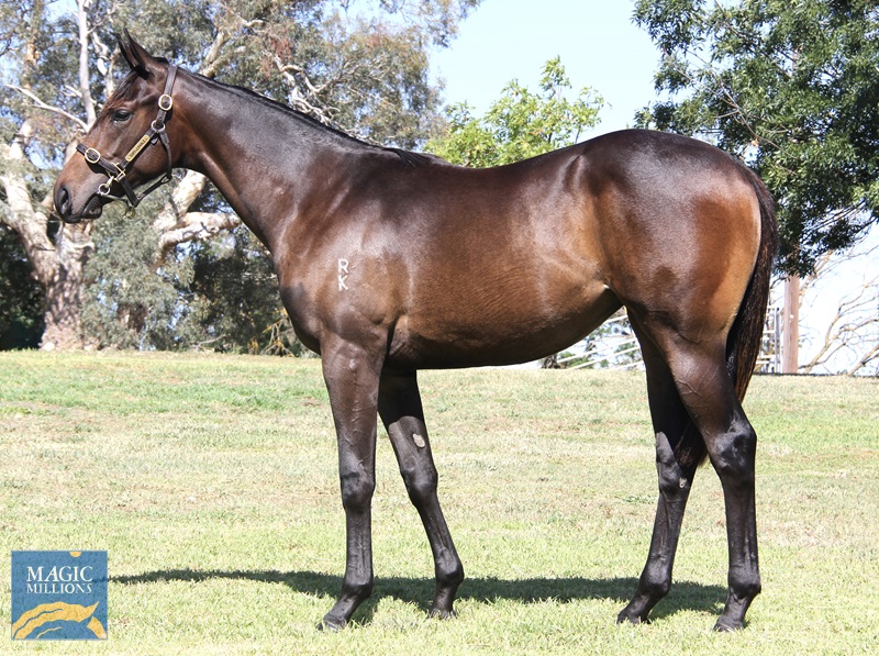 Bella Vino 24 (1).jpg - Image 1