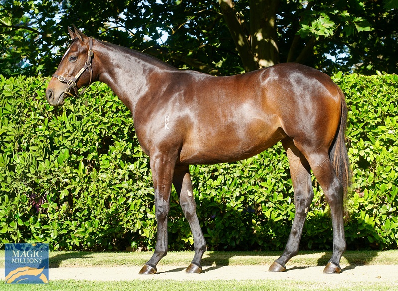 DSC00200-2.jpg - Image 1