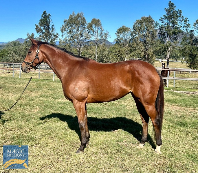 Deep Dawn 3.jpg - Image 3